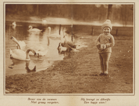 206904 Afbeelding van een jongetje dat de zwanen in het Wilhelminapark te Utrecht voert.